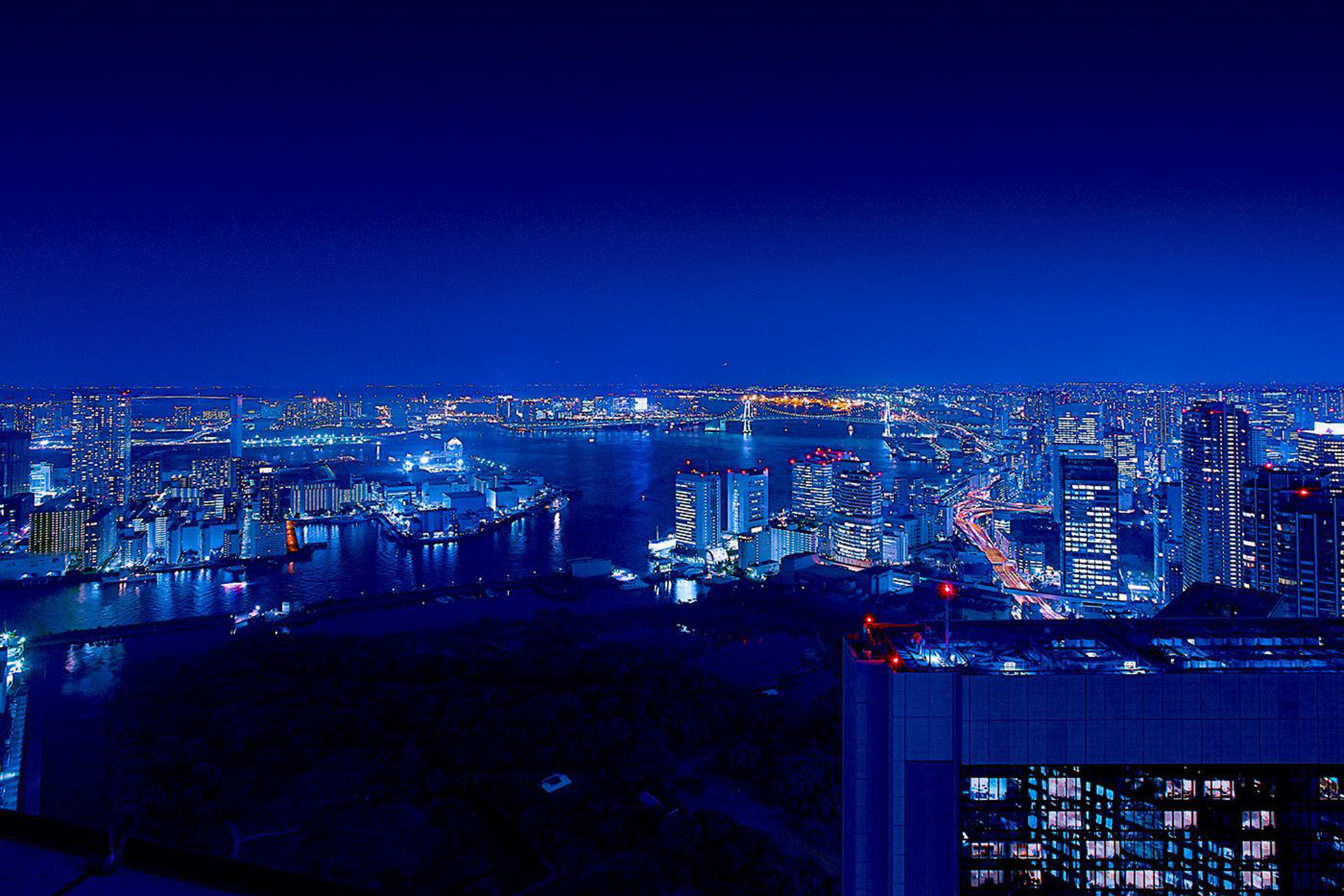 スタジアムと芝生広場の風景