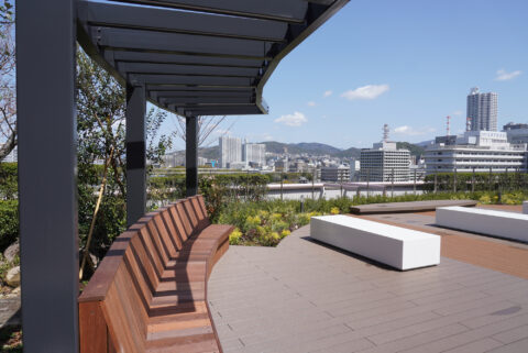 スタジアムと芝生広場の風景